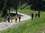 Bran 2009 Tara pieilor rosii 5